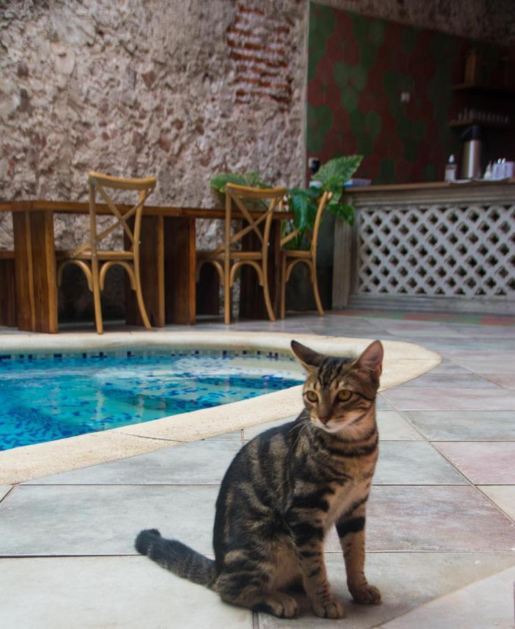 Casa Zahri Boutique Hostel Cartagena Luaran gambar